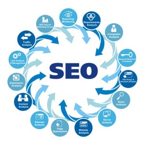 professional search engine optimization services in panipat