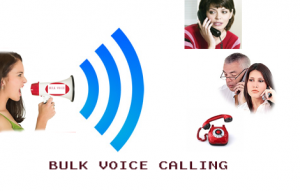 bulk-voice-calling