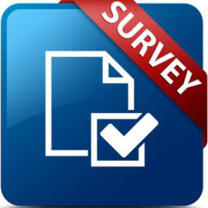 survey website design